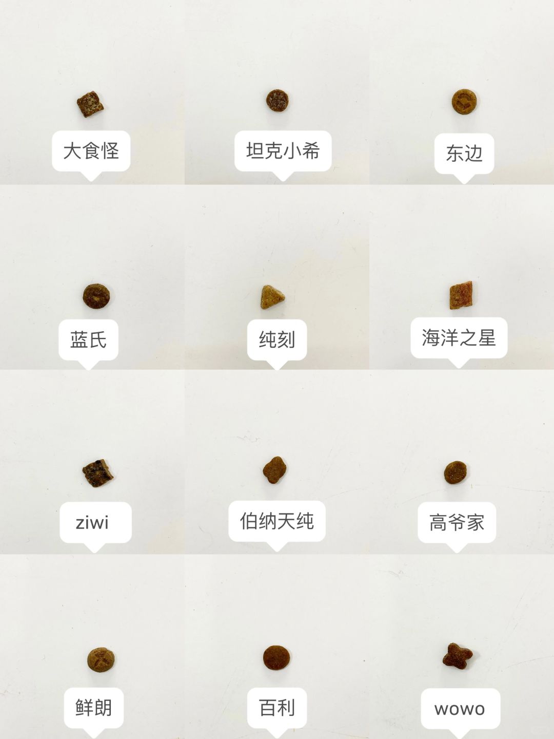 5年养猫人的囤粮攻略来啦！双十一快做功课