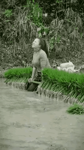 1 天呐！厉害了我的姐！[震惊]
   果然勤劳的女人最美！[赞]
2 大哥放弃