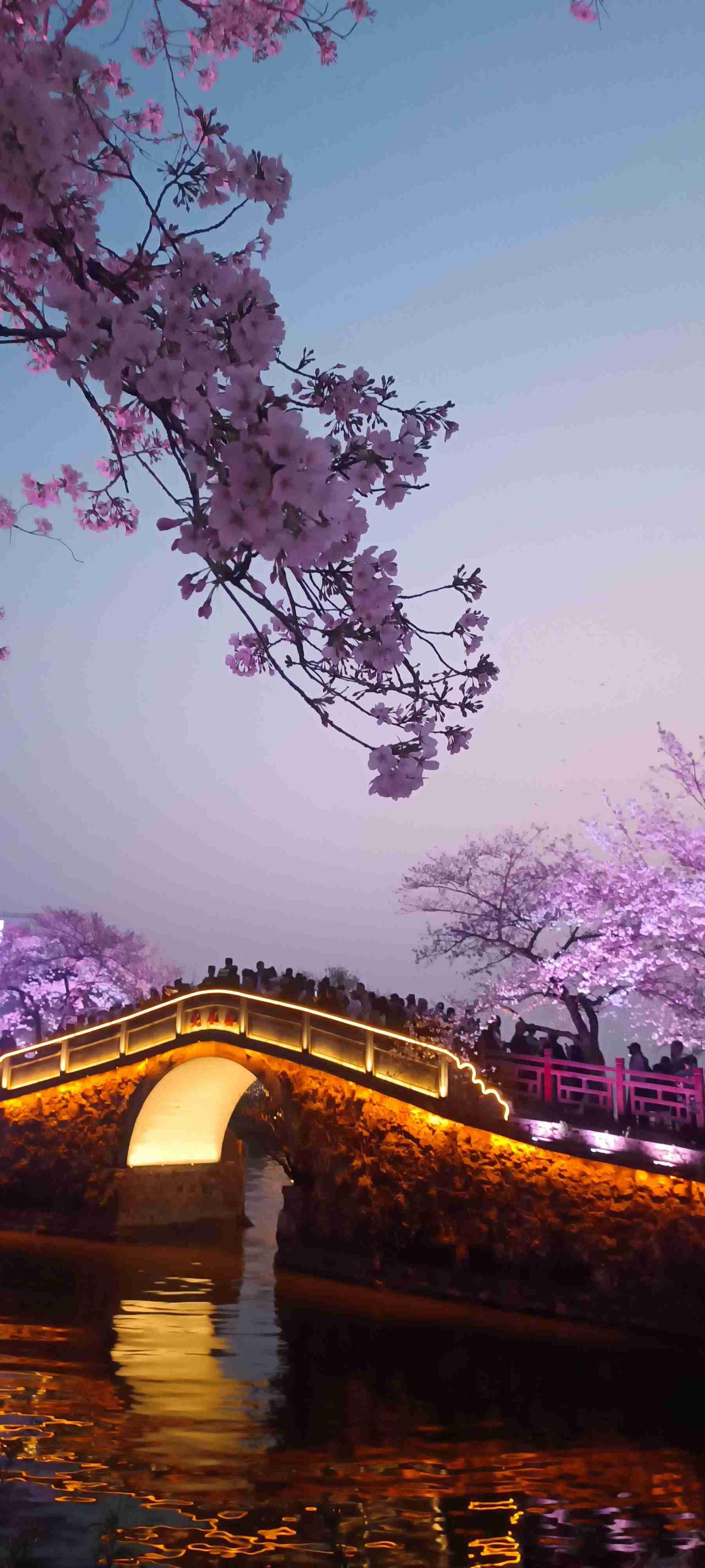 我的今日状态：😁轻松愉快
我这里的天气：🌤️多云