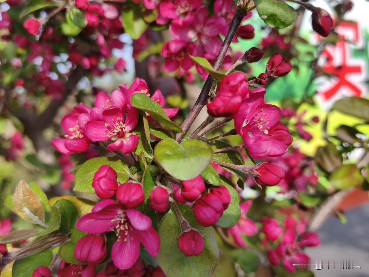 保持乐观的心态:每个人的生活中，都难免会遇到各种问题。有时，你越去较劲，越会让自