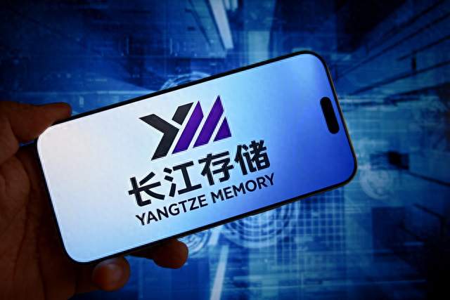 英特尔D系列GPU曝512GB非公版显存