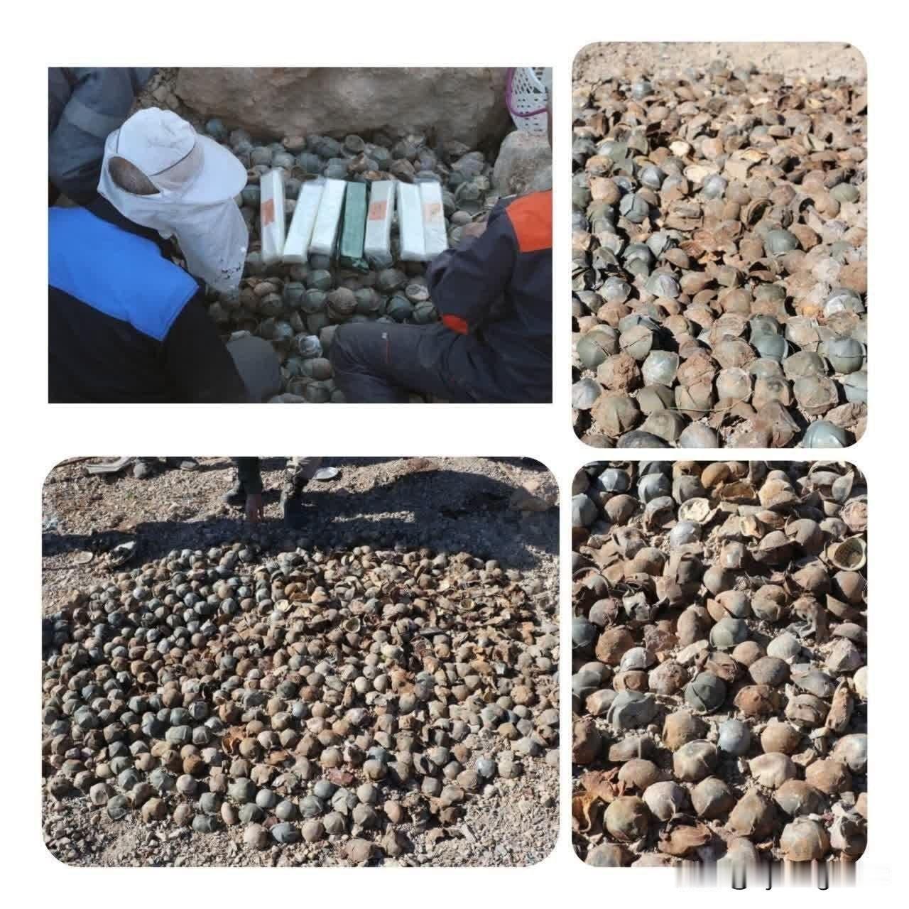 🇮🇷🇺🇸🇮🇱伊朗公布了美制 CBU-58 集束炸弹及其 BLU-63