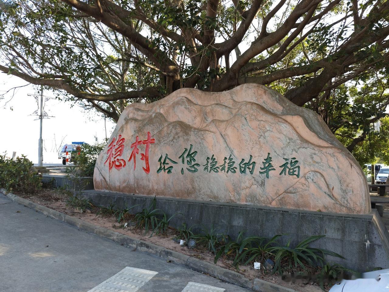 现在湛江也成为了北方人过冬的热门选择。这里是湛江吴川的一个普通的村庄，来到此村庄