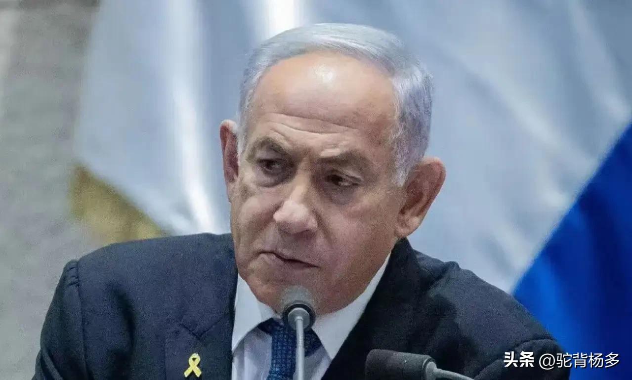 网友：这是恶人先告状！