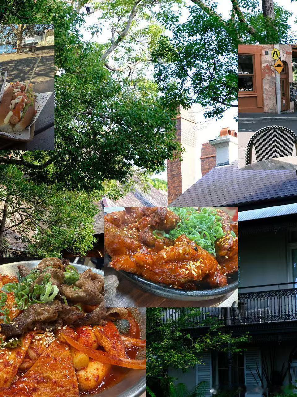 贺峻霖打卡自己的广告屏 跟着贺峻霖的胶片感plog云游悉尼📸悠闲漫步、眺望海边