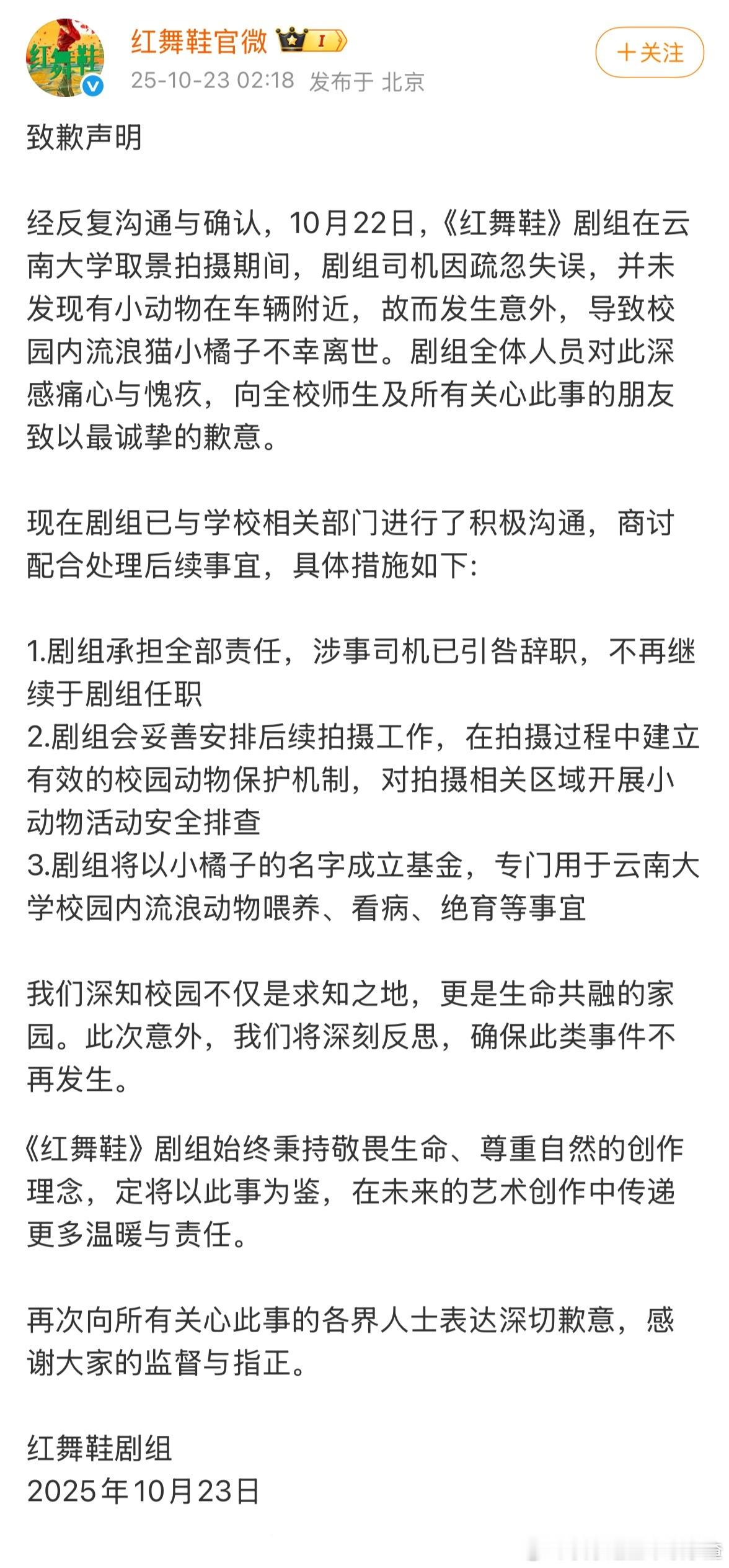 《红舞鞋》剧组在云南大学开快车撞死小猫，凌晨发布道歉声明，称将会以小橘子的名字成