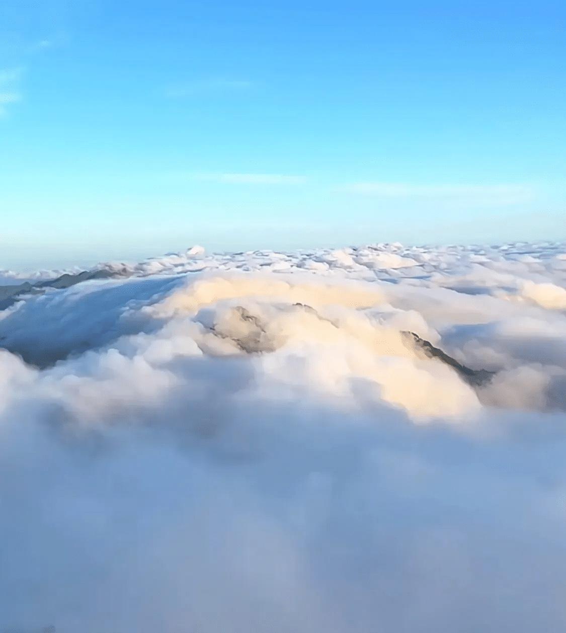 “买俩包子花2块，停车费掏10块，这买卖谁愿意做？”最近不少老百姓都在吐槽，现在