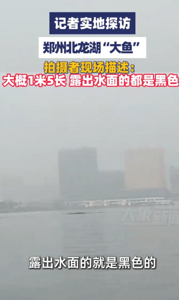 近日，郑州北龙湖一段湖面视频在各大社交平台爆火。8 月 20 日清晨 6 点半，