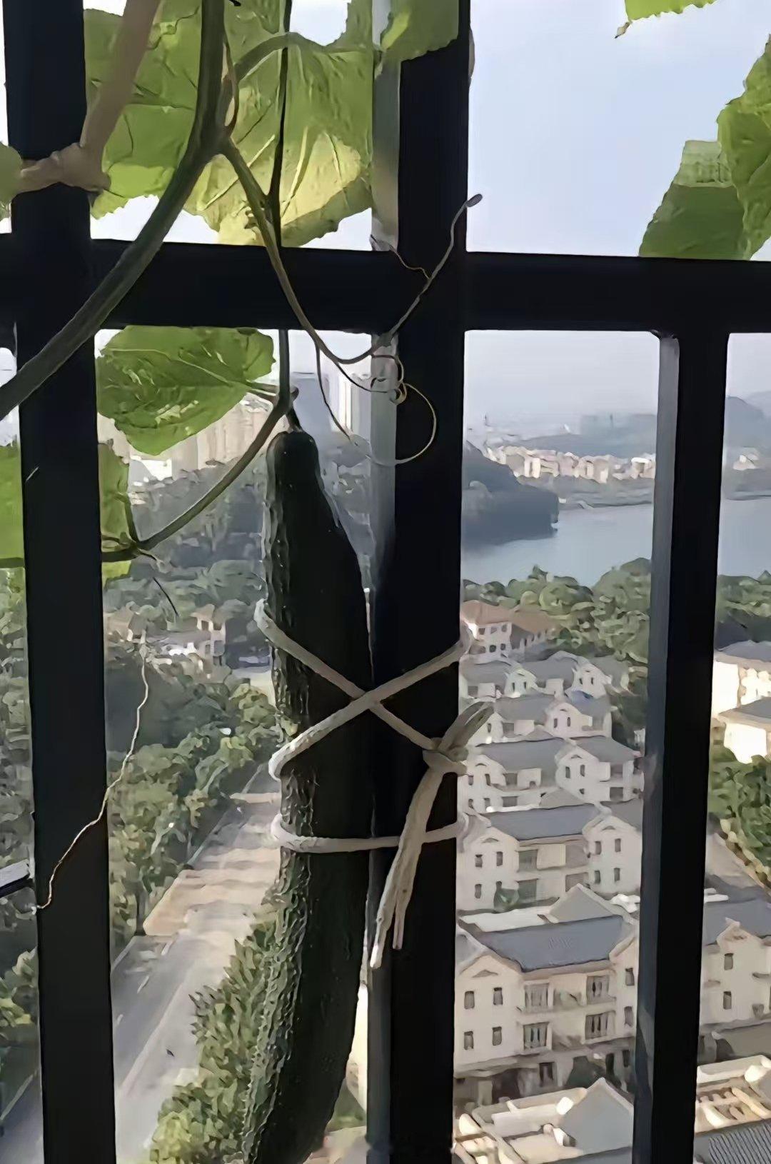 台风要来了 ​​​