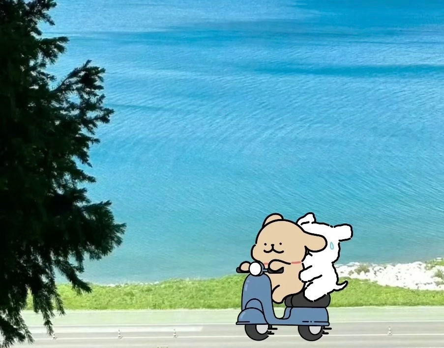 刚给太后打电话球爸爸接的说太后去她导师家了今儿西安40度打底我问球爸爸太后咋去呀