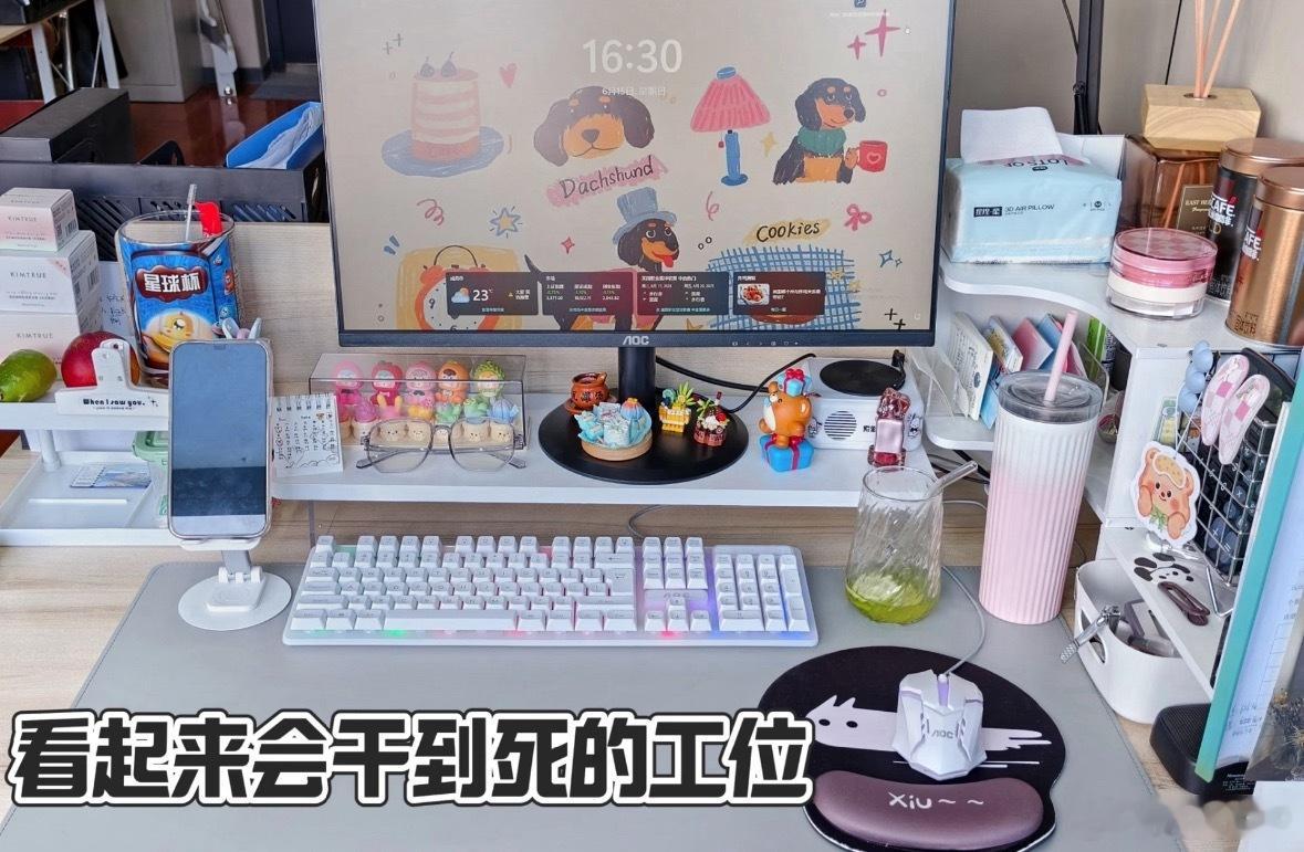 一看这个电脑就不是要离职的其实我感觉这个不是很准，之前有个同事，就是看起来会干到