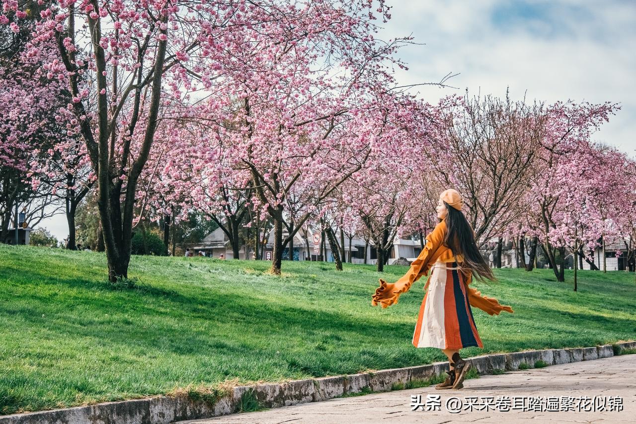 为什么人们春天爱看风景？

第一、因为有花。百花齐放、争奇斗艳。无论城市、郊区还