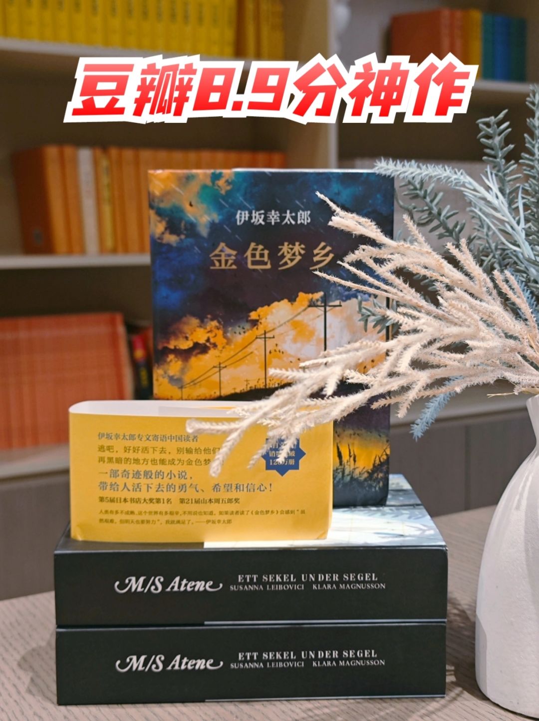 伊坂幸太郎的经典作品，这一本真的是绝了～