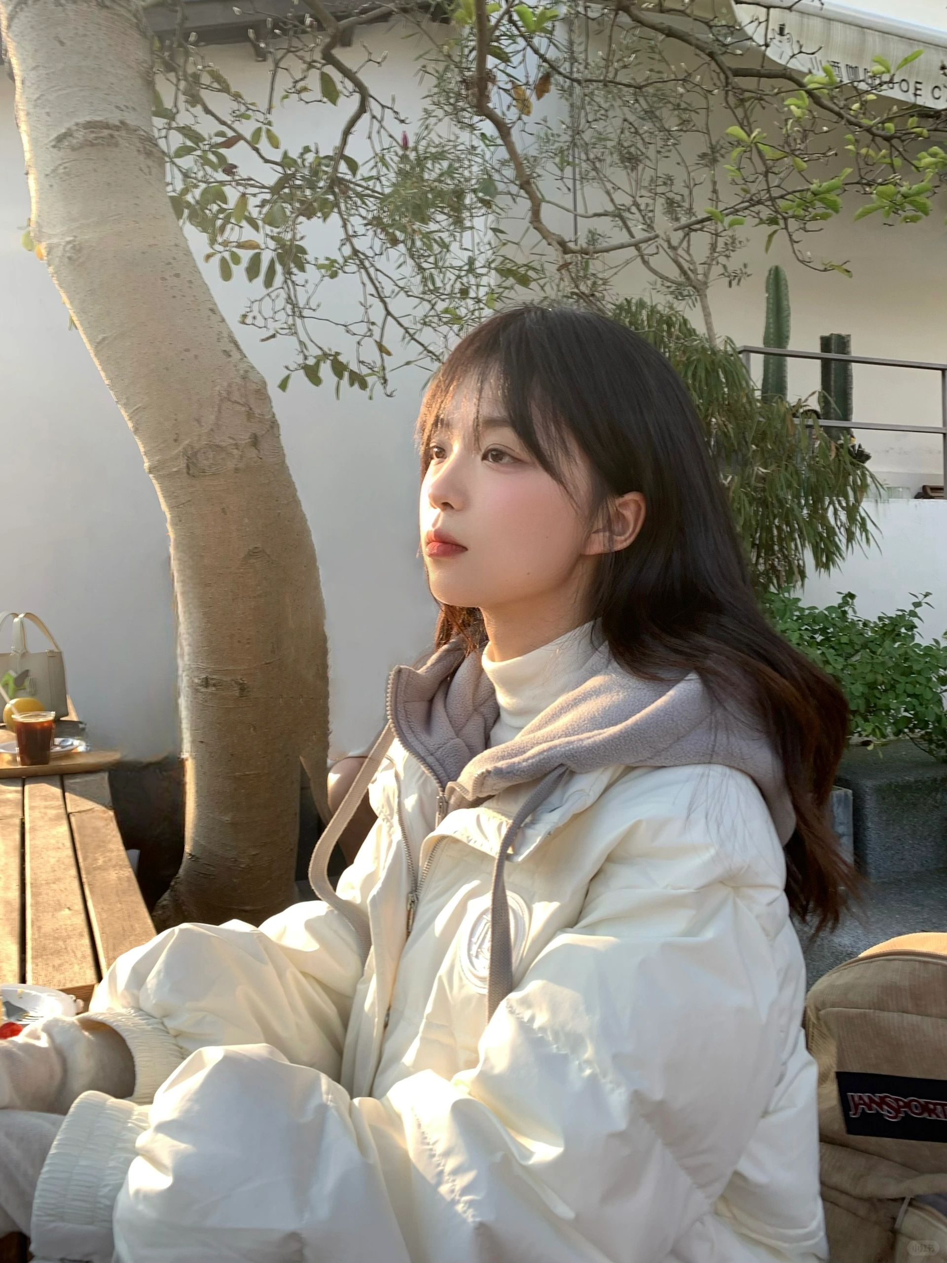 满觉陇的秋冬🥥•̀ω•🥥́