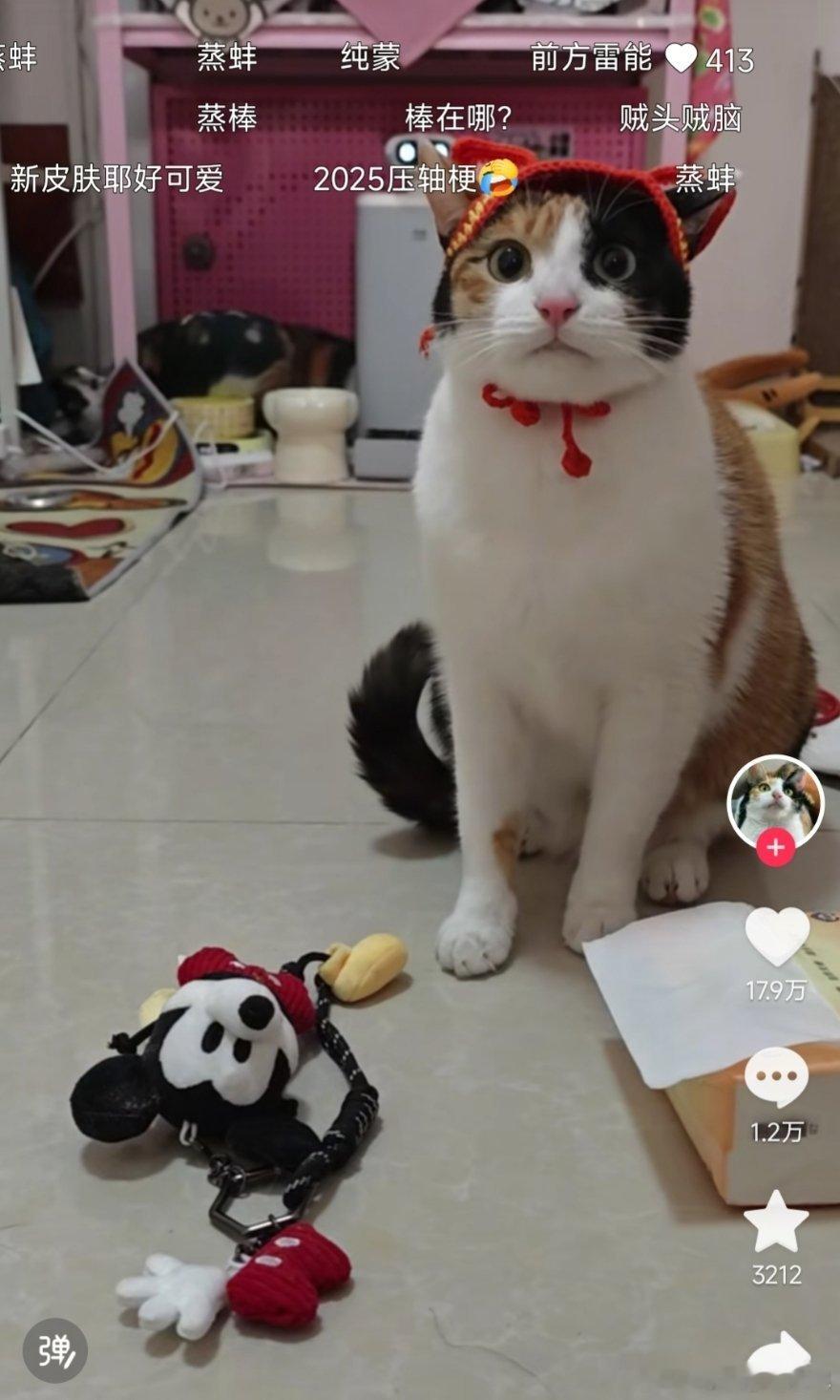 原视频是最近很火的小猫猜米老鼠纸巾真棒的。这也能开hq？ 