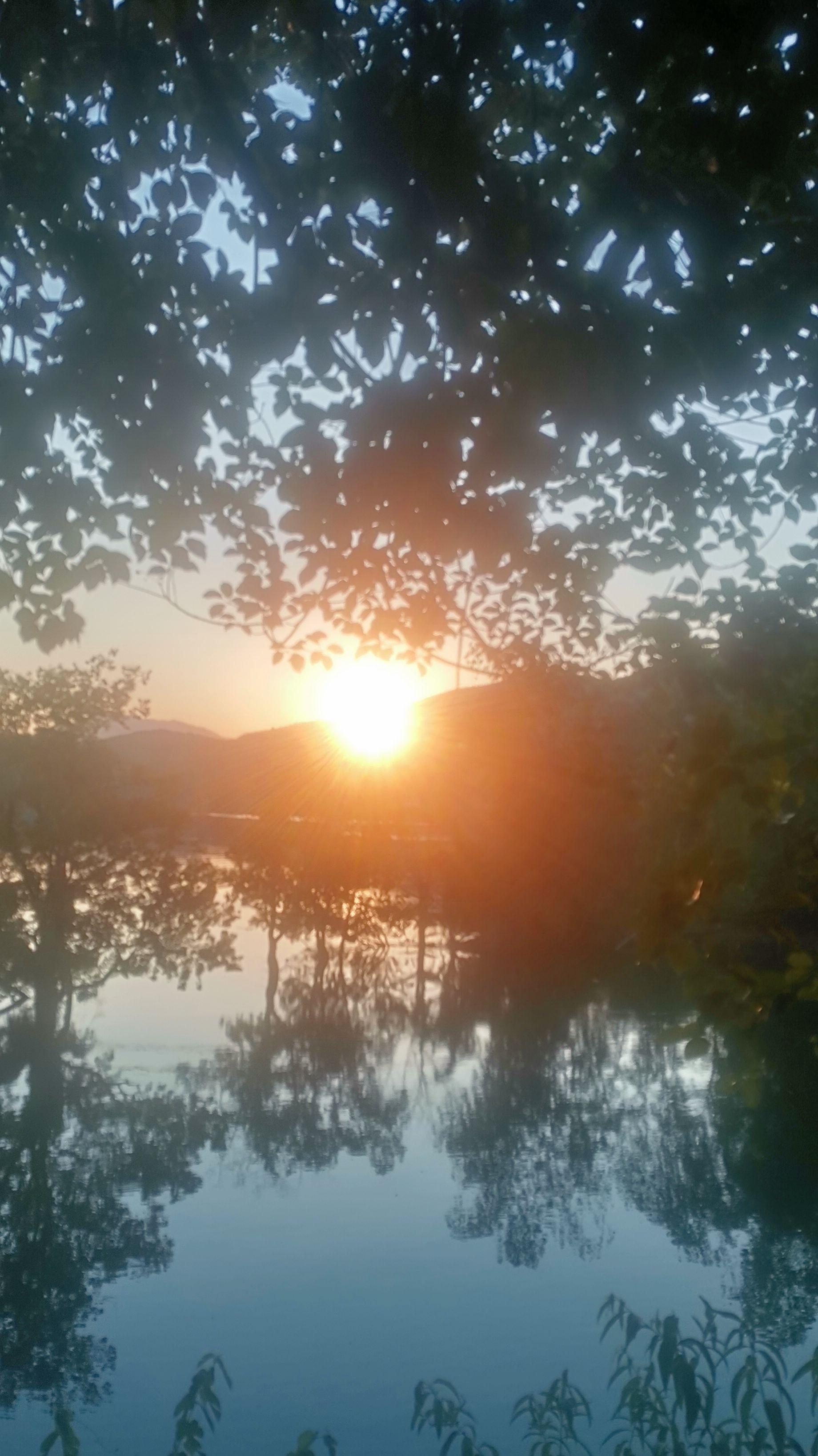 随拍 美景 落日晚霞