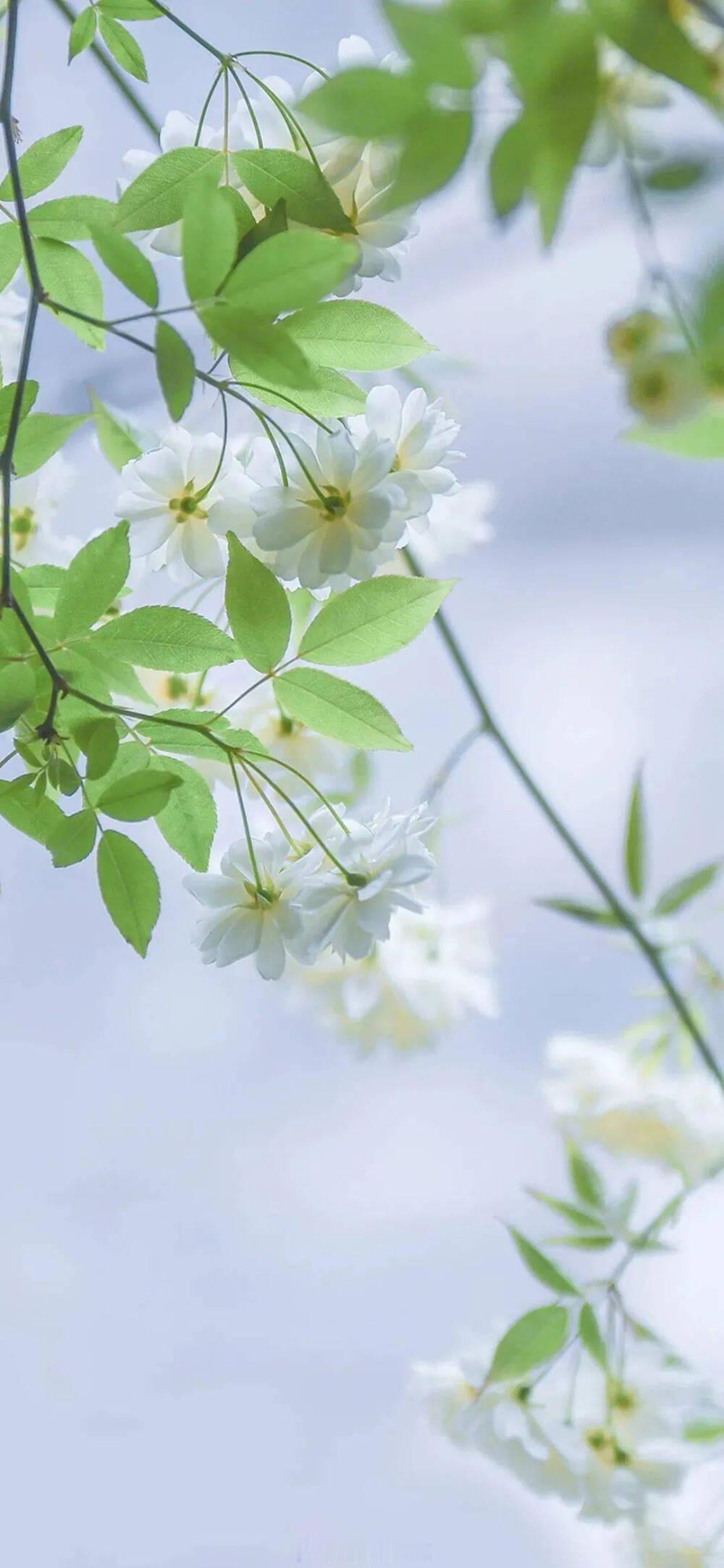 “我这一生归你，至死不渝。” ——《他最野了》#早安# ​​​