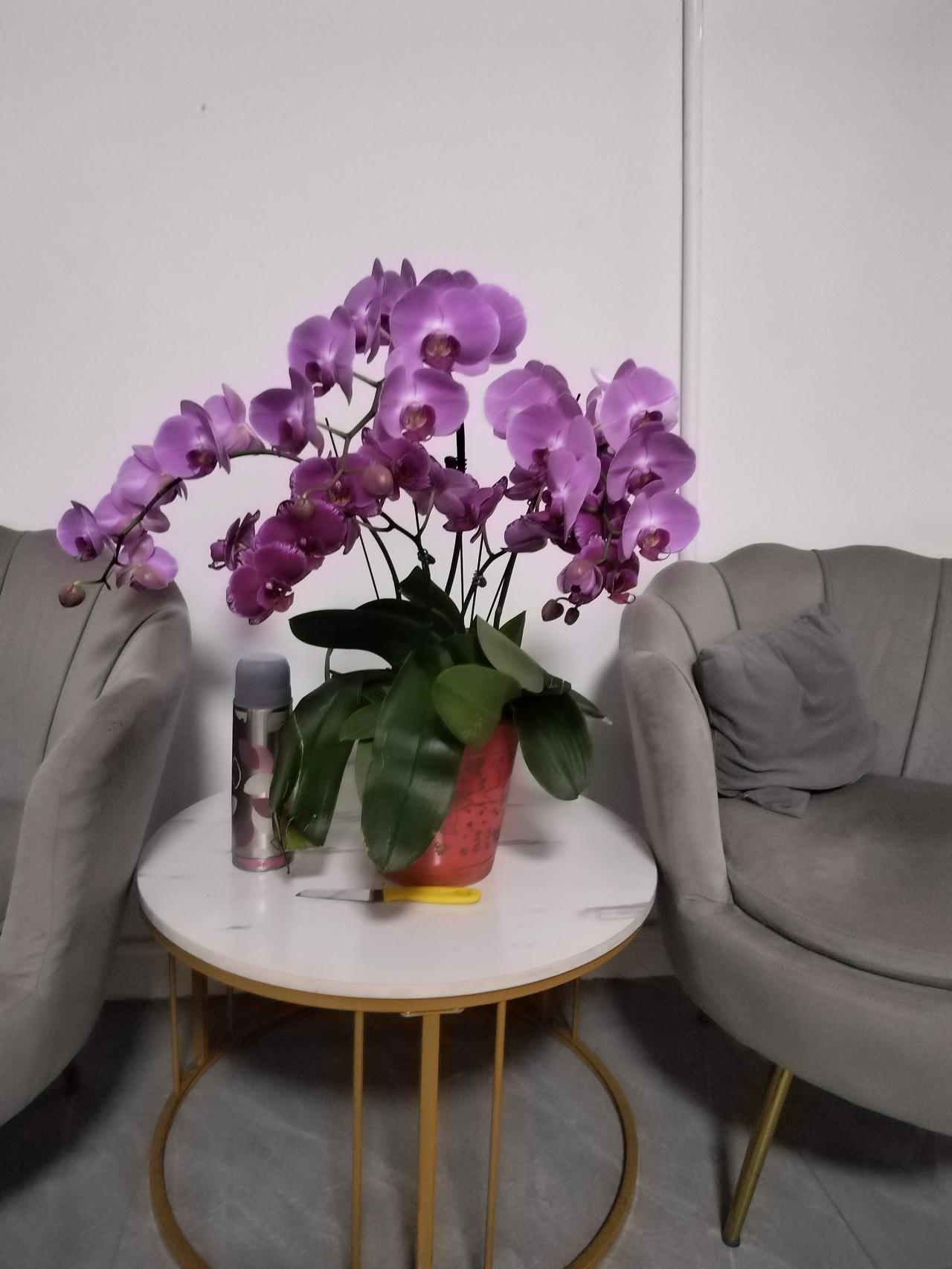 计较的本质，不是认真，是内耗。跟家人争输赢，感情淡了；跟朋友论长短，关系远了；跟