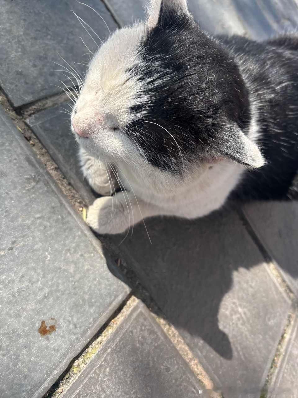 49500【心灵丑】遇见两次都不睁眼看人什么意思 