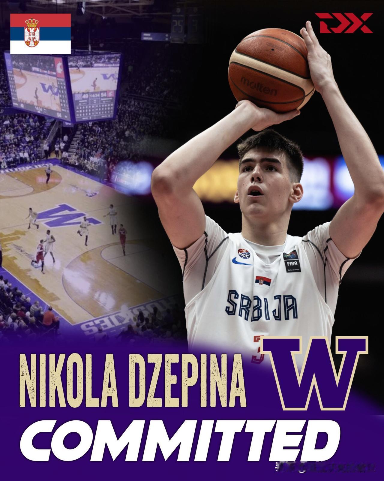 塞尔维亚前锋Nikola Dzepina宣布承诺NCAA男篮 华盛顿大学，季中加