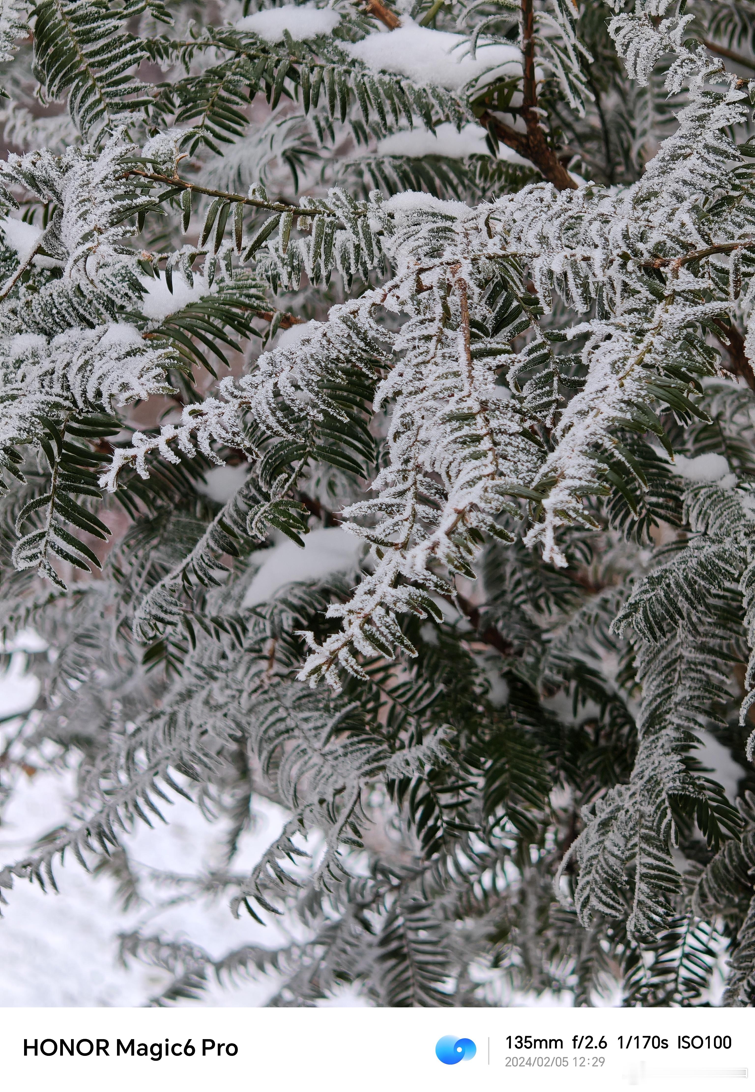 今日冰雪主题 ​​​