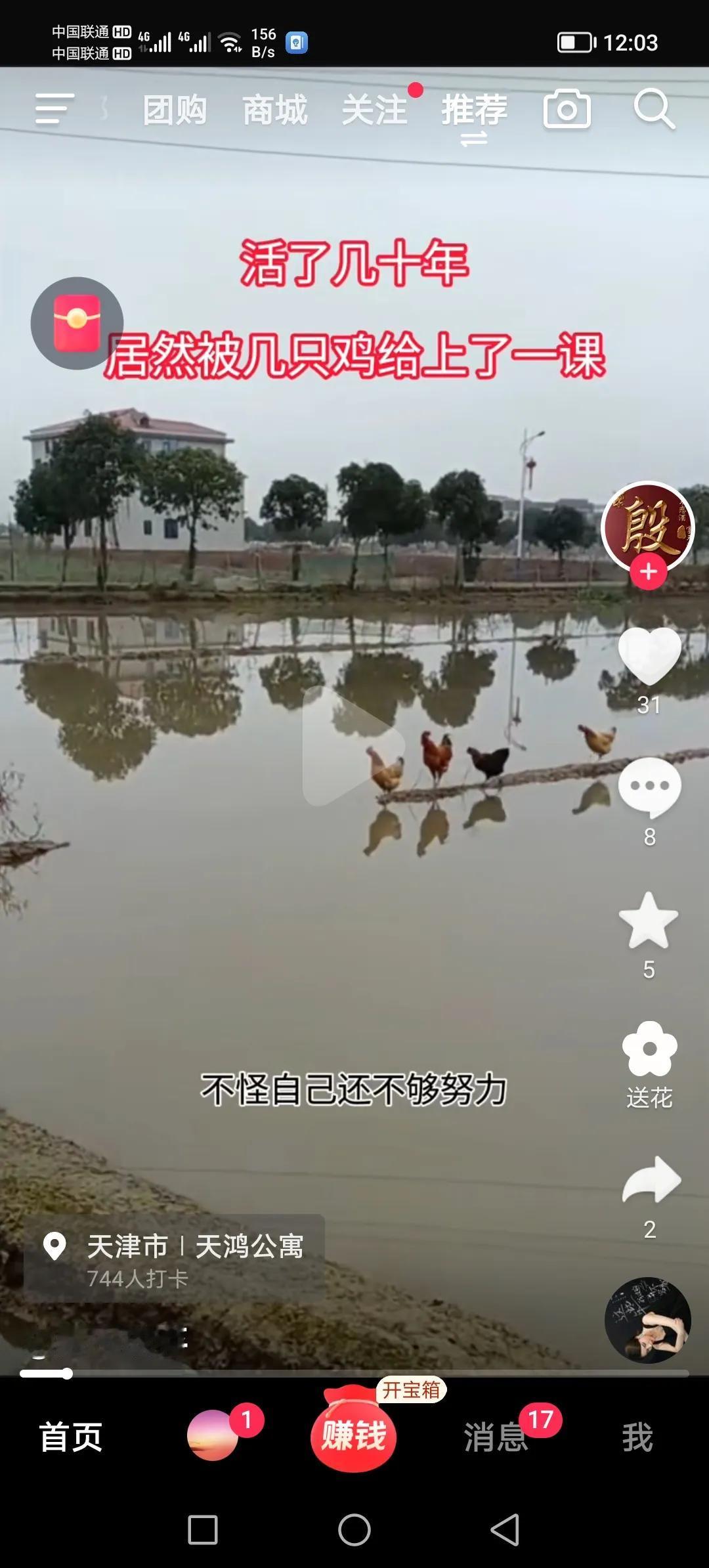 #寻找热爱表达的你#友友们看一看，人的心理是不是和鸡一样啊？
图中有四只鸡排着队