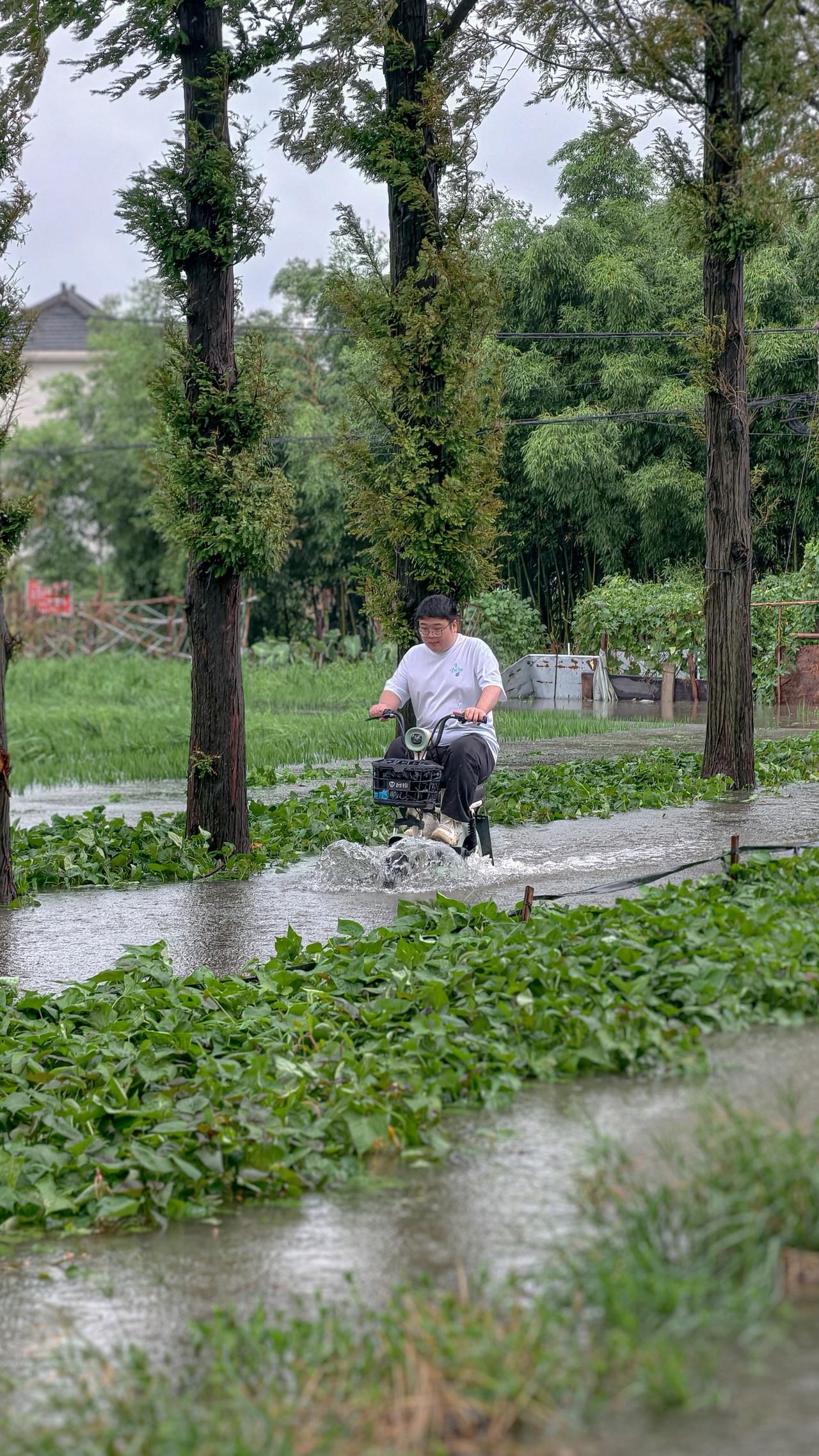 人在大自然面前，毫无还手之力……适度的雨水滋养万物，可过度的暴雨，却会酿成灾难。