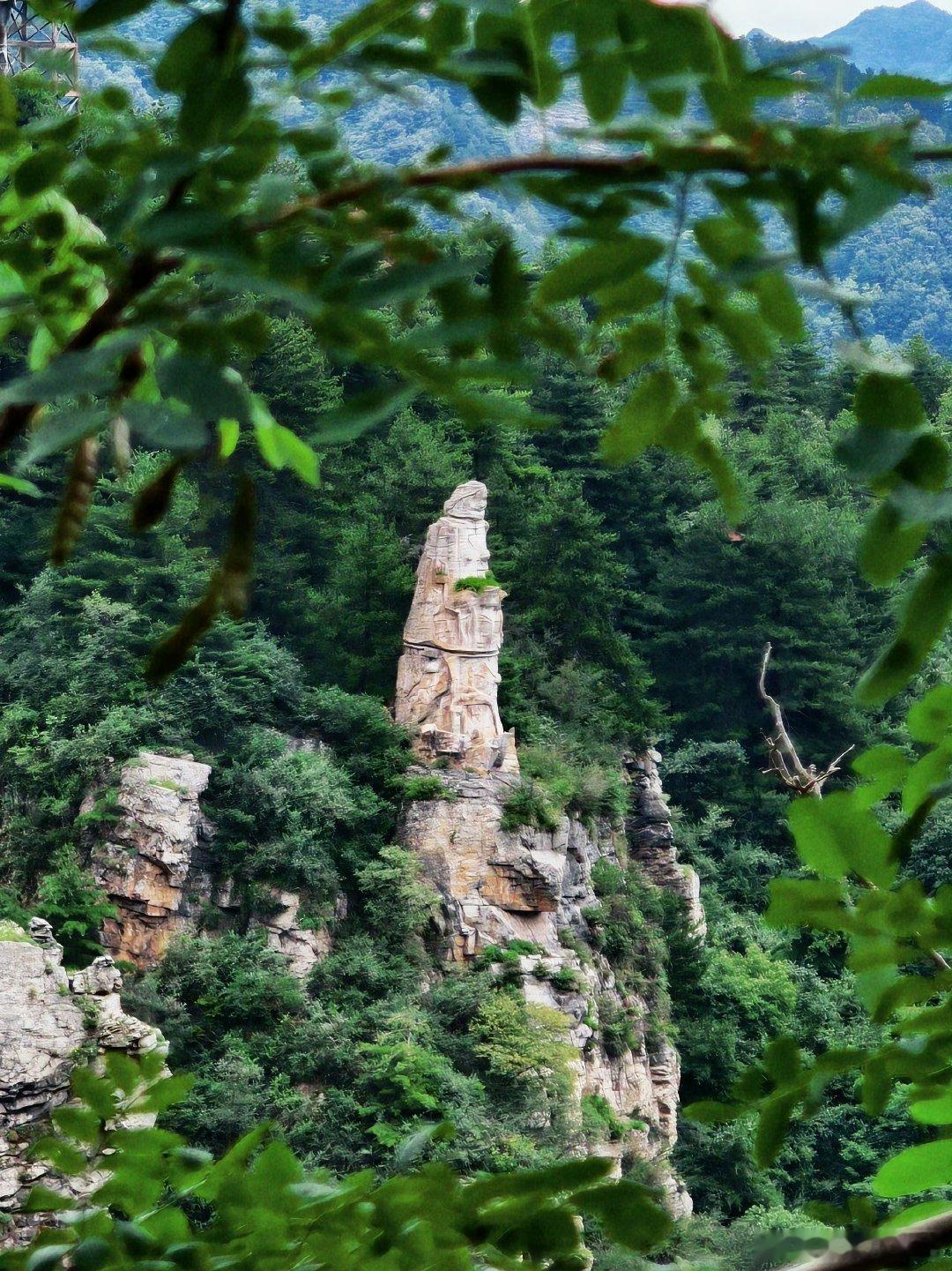 被栾川美景硬控了暑假栾川旅游好去处暑假直接锁死栾川！21℃天然凉夏，万亩竹海、山