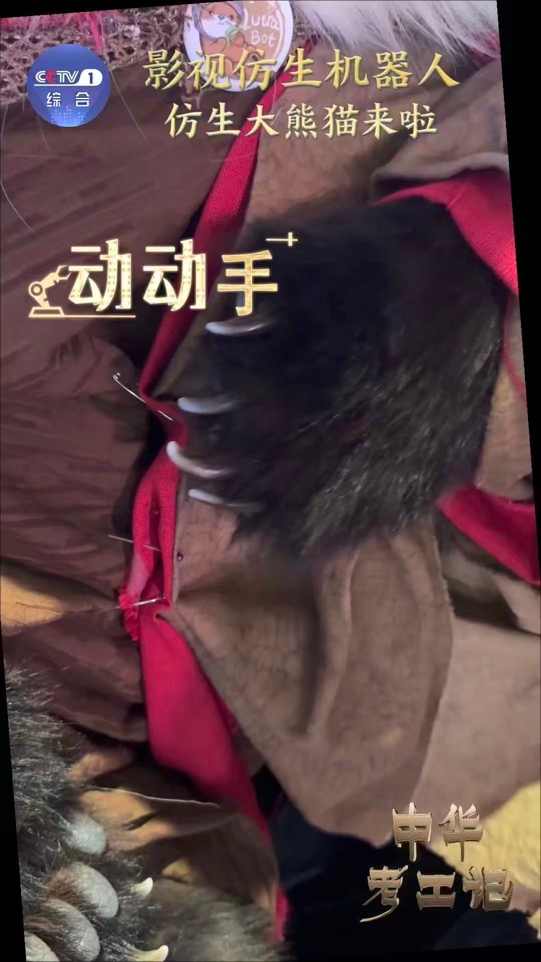 大熊猫机器人真的来了当传统萌宠遇见硬核科技！这款机器人不仅拥有可爱外形，更具备A