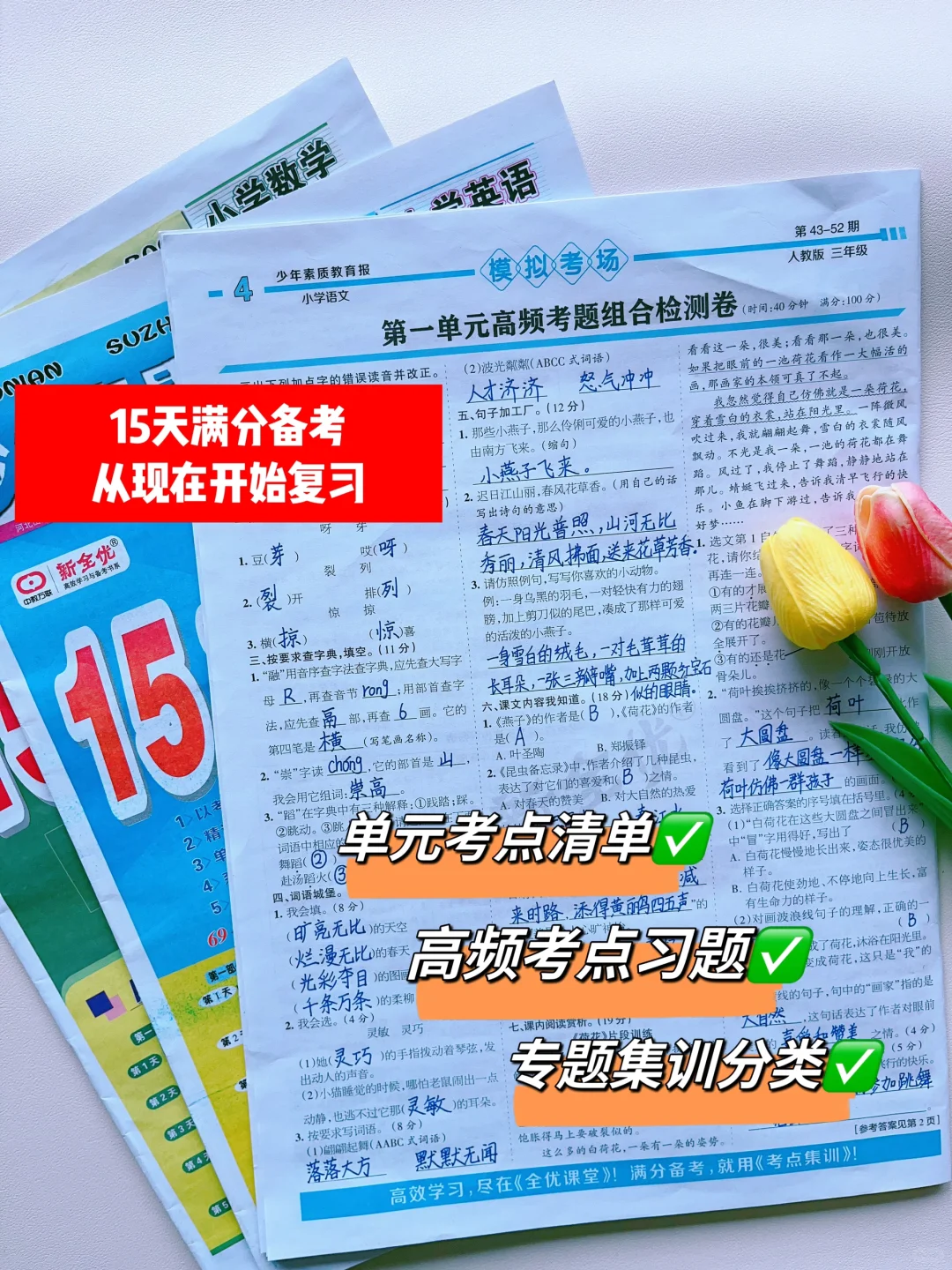 每天复习一单元，期中考试稳稳抢占第一名☝️