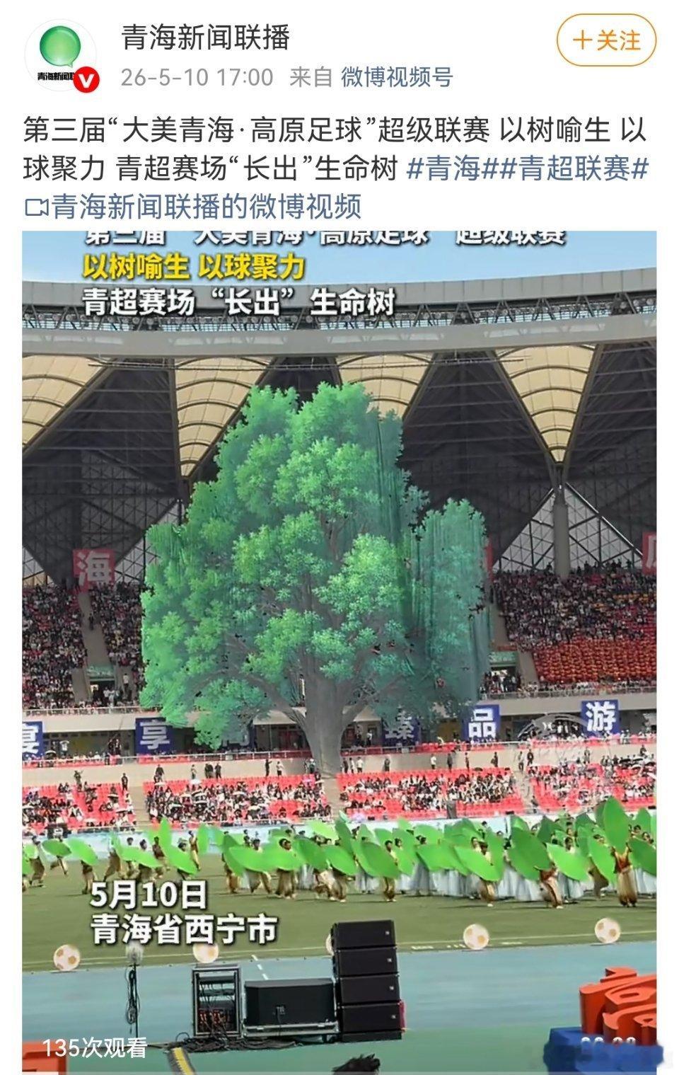 哇塞，青超联赛好大一颗生命树啊。 