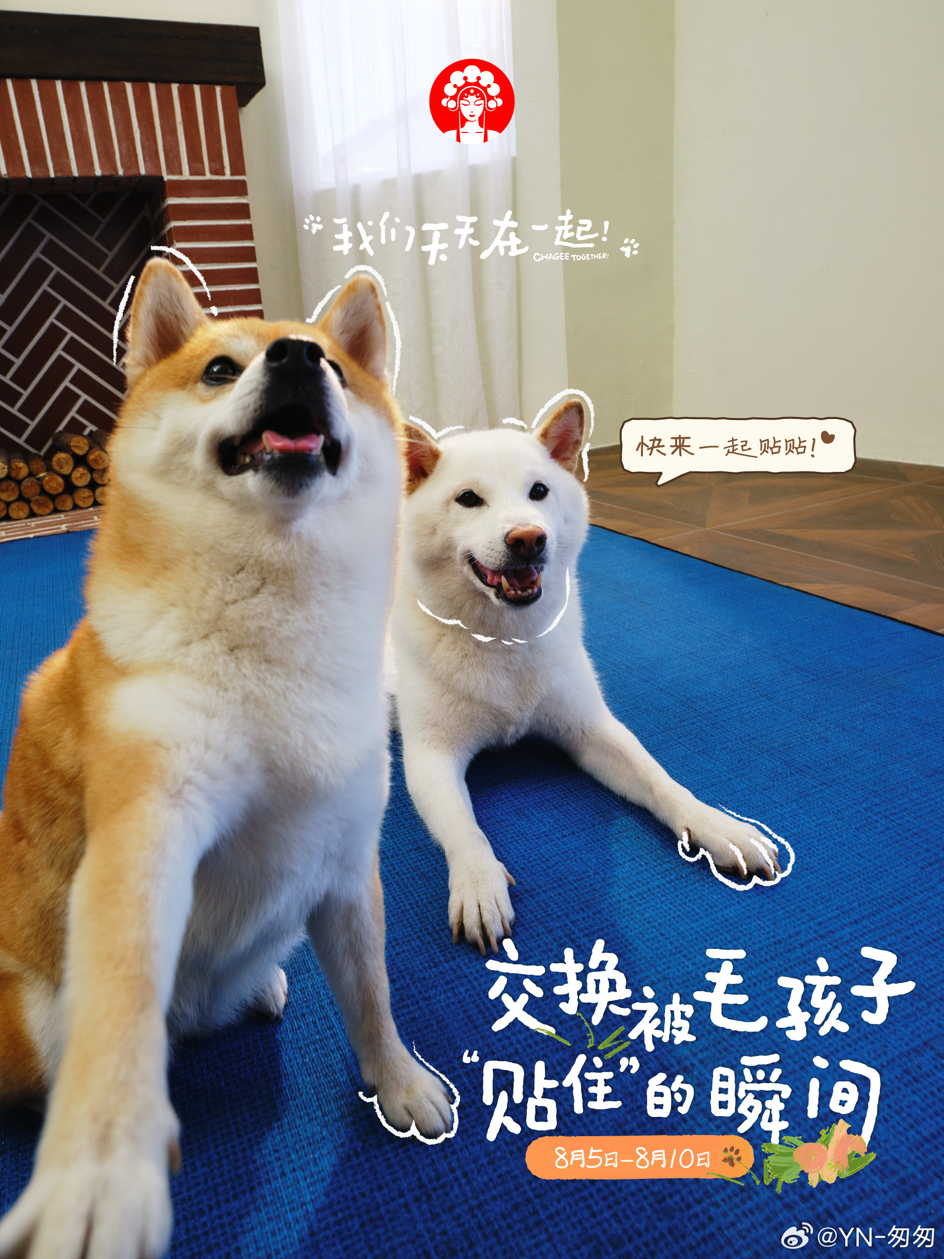 哇偶，茶茶竟然关注到可爱的毛孩子了！友好宠宠，我也来发个被它治愈的瞬间。我们天天