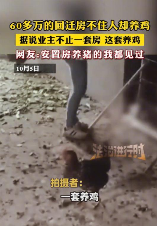 “太缺德了！”10月5日，四川内江，一男子在家时，总感觉能闻到一股鸡屎味，于是他