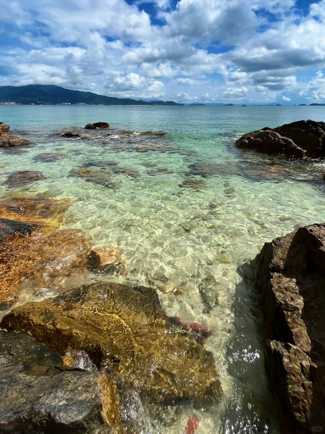 隐藏在深圳的免费玻璃海