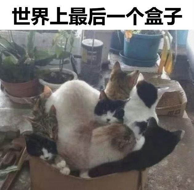 是我的 ​​​