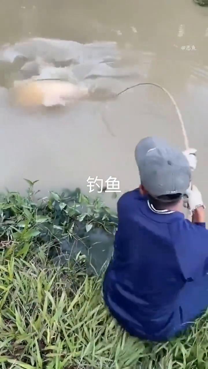 钓鱼。