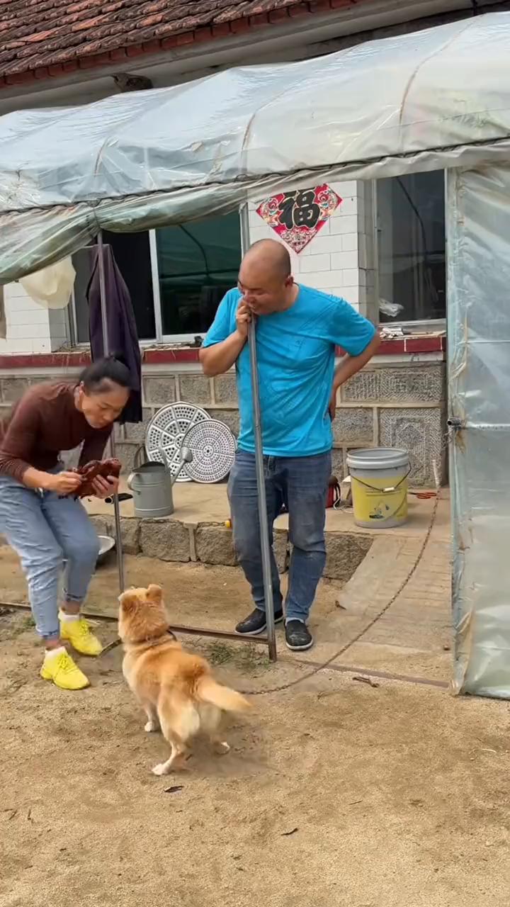 哎呀妈呀，我得了，你别笑，哎呀妈呀，我脑袋，哎呀哎妈呀，手，手，哎呀妈呀，哎呀哎