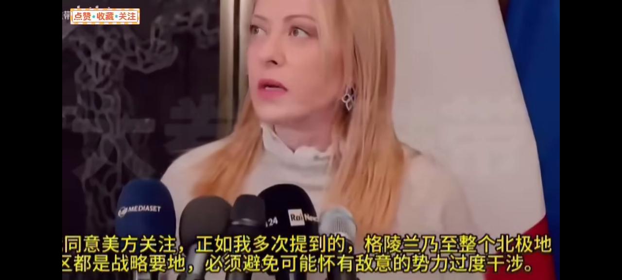 舞娘思维方式不一般啊。意大利总理的意思是，格陵兰岛美国占就让他占吧，反正我们也没