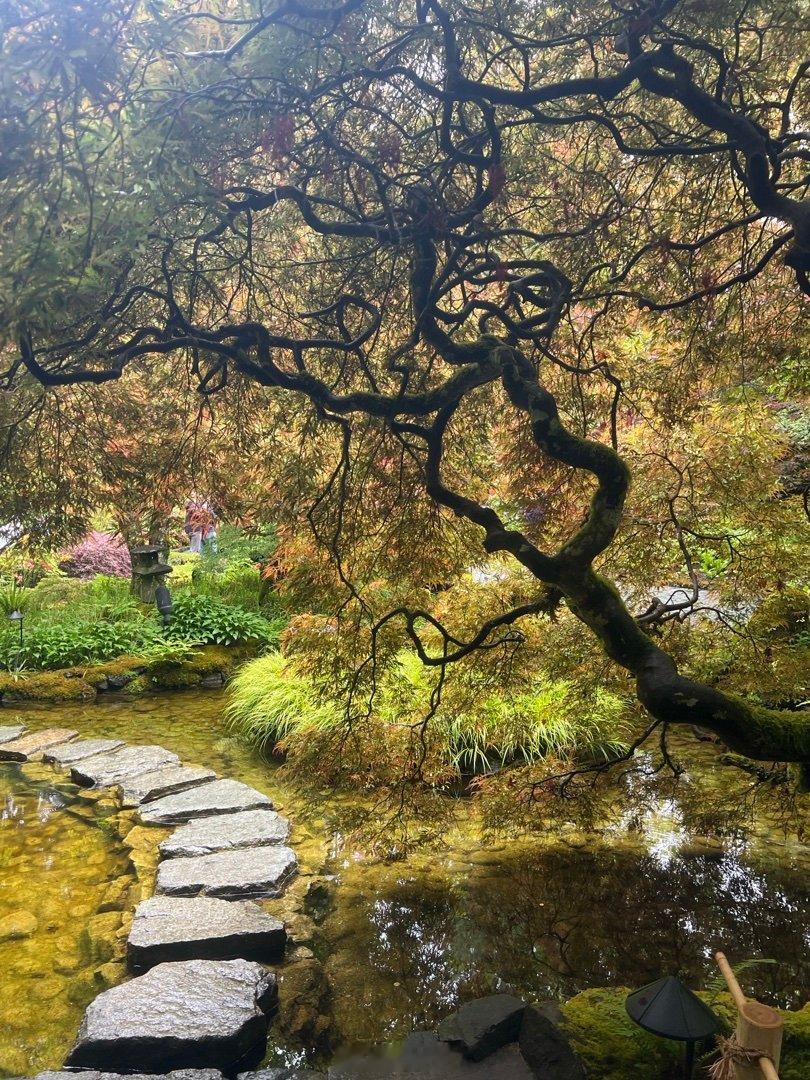 本博在维多利亚Butchart Garden随手一拍的这张，事后看看还是很有味道