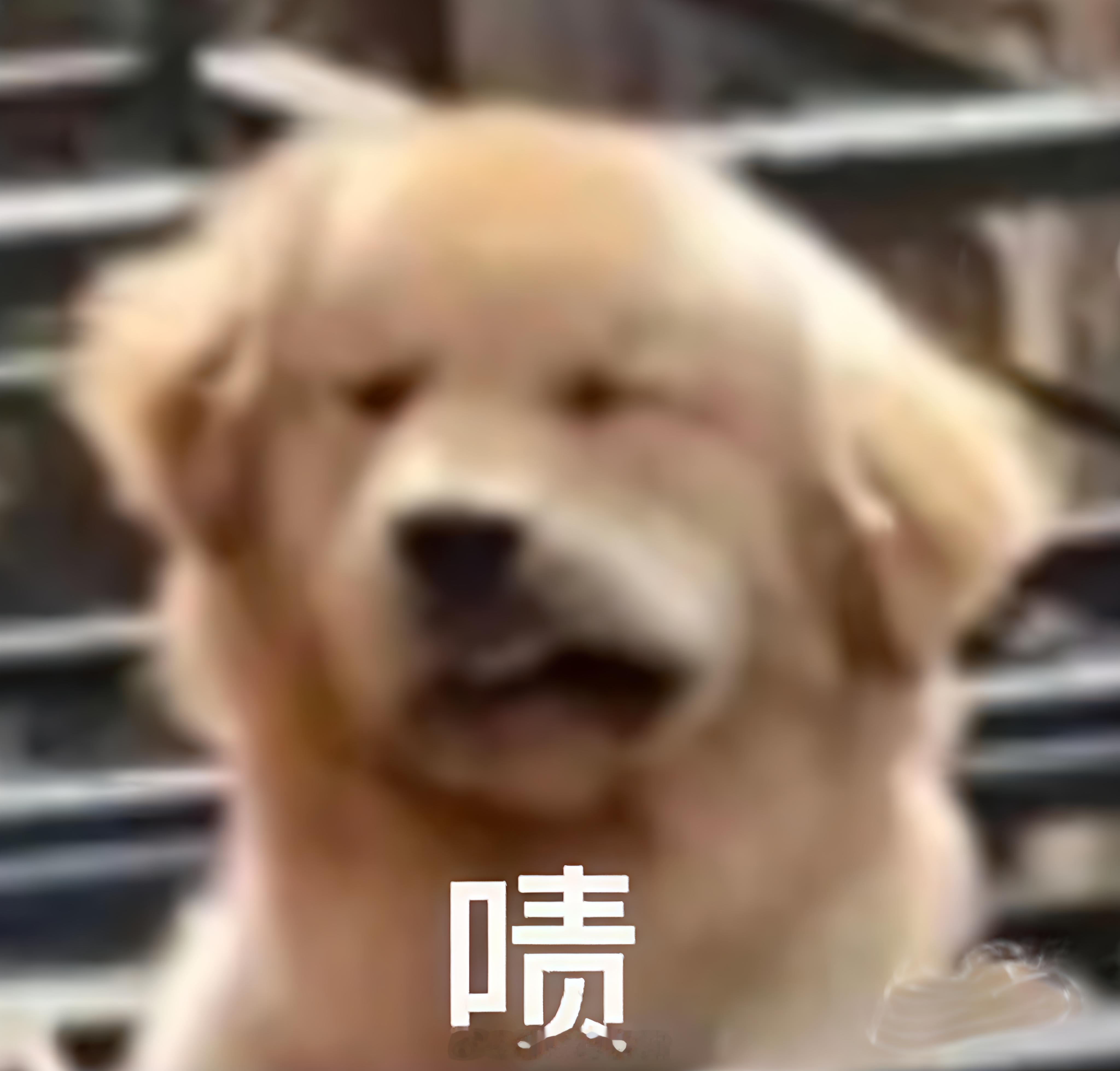 都怪我太年轻，是人是狗我都分不清[可爱] ​​​