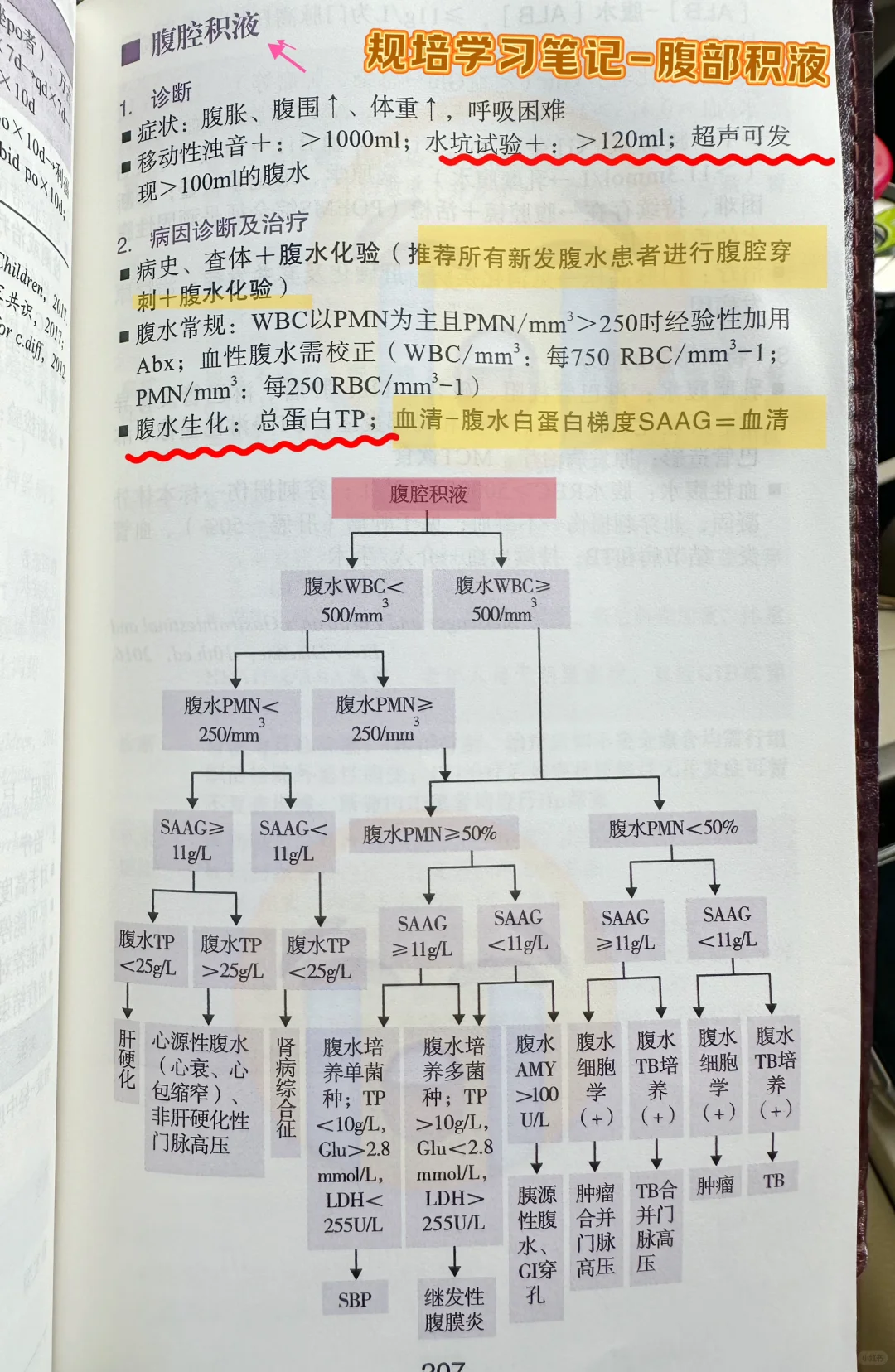 值班规培遇到腹部积液