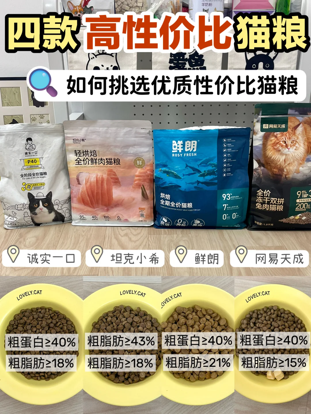 哪个穷鬼养猫还不会选猫粮！😡速来抄！