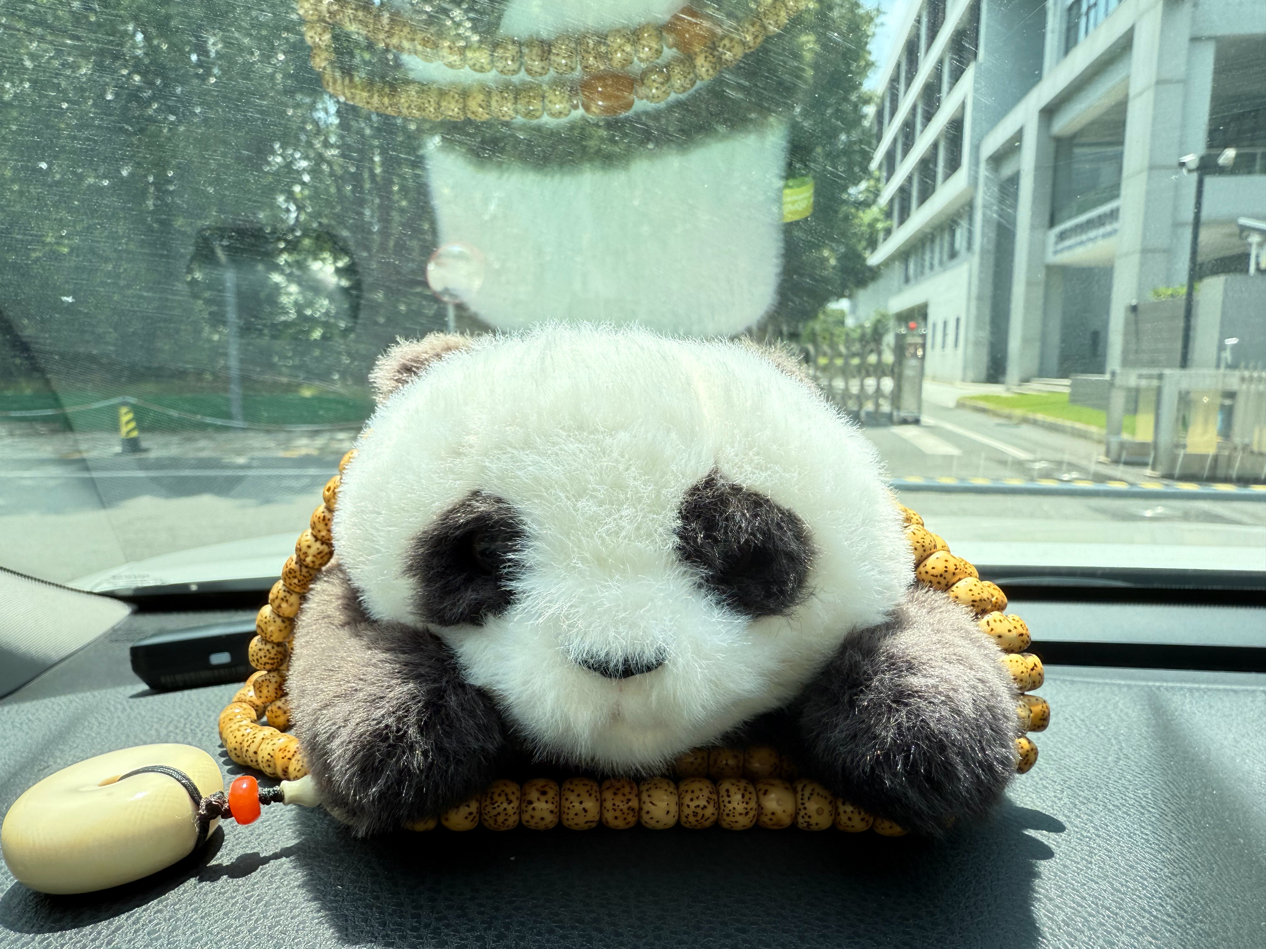 周末限定今天独宠你🐼万物皆可卷唯有熊猫治愈一切今天允许自己像它一样懒洋洋地快乐