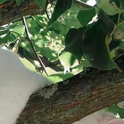 我们不能站在后来的高度，去批判当年的自己，这不公平。如果重来一次的话，以当时的心