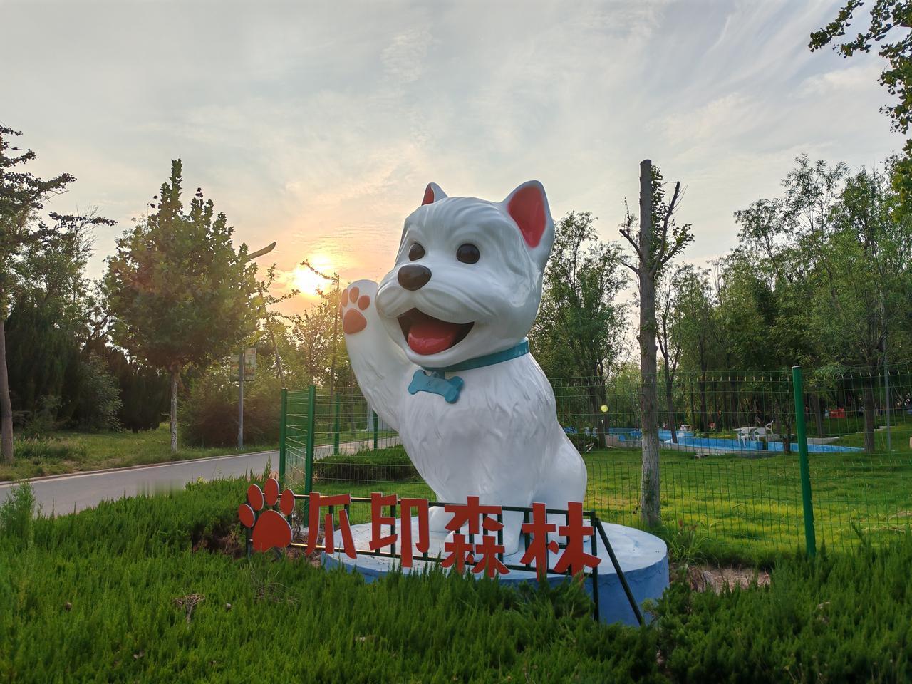 东营园博园有爪印森林宠物乐园，有封闭的草地，主人可以在草地上坐在休闲椅上放松，很
