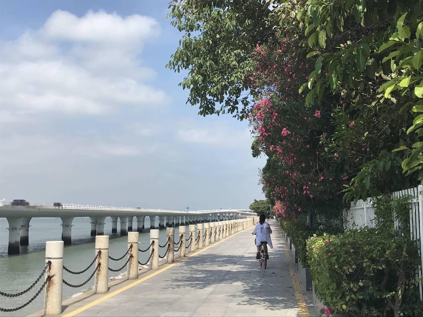 一段缘分脱离共同根基，再充沛的照料也留不住生机。人与人之间的联结，从来离不开彼此