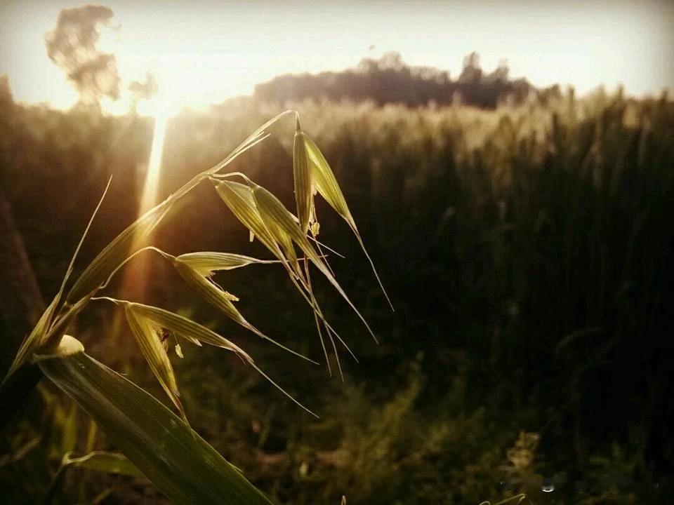 长大不是一蹴而就的事，也不是只有轰轰烈烈、脱胎换骨才叫成长。只要我们勇敢走出舒适