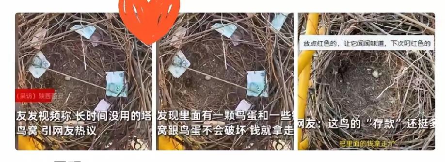 “天上掉馅饼了！”就在9月12日上午，陕西西安一工地上，有个男子在塔吊上干活，意