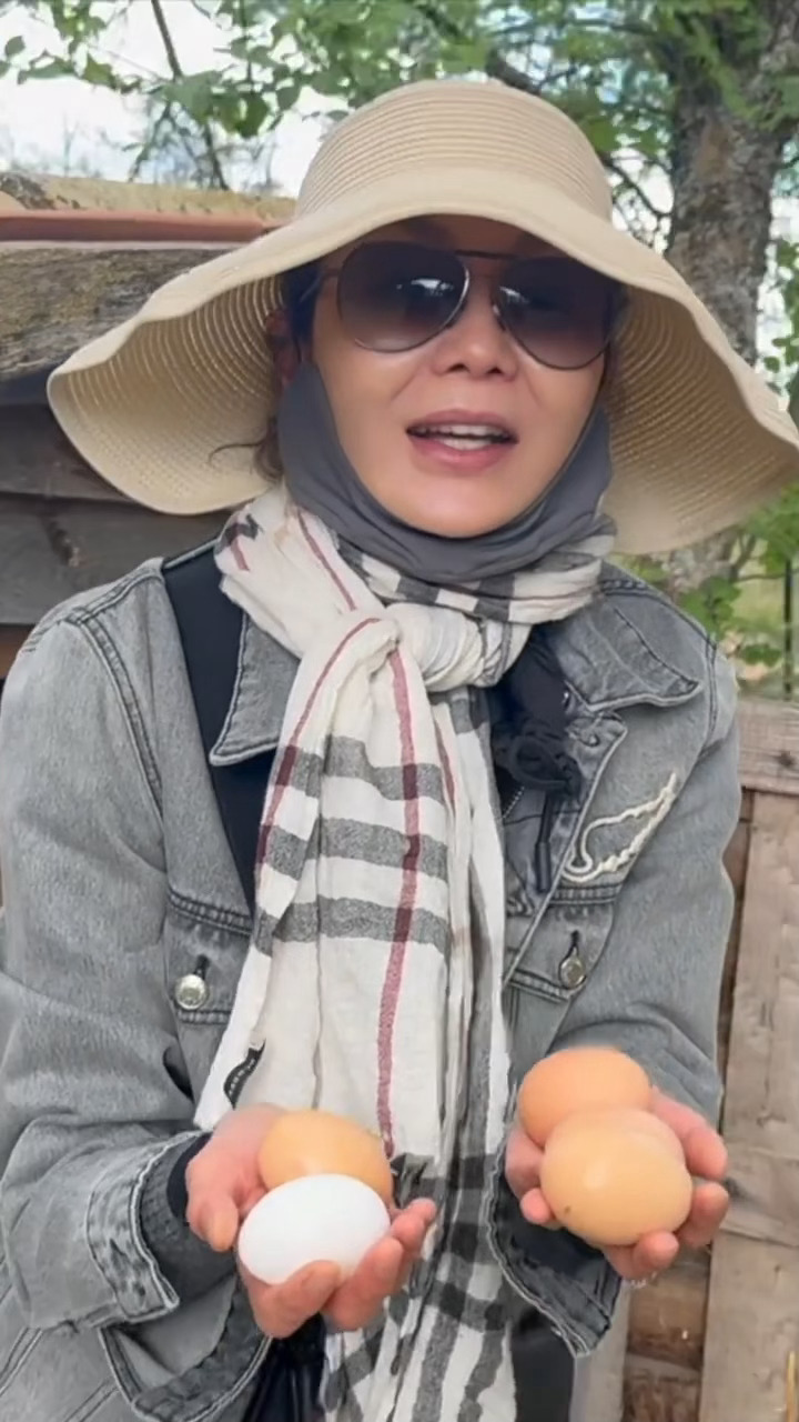 花样年华之我在农村捡鸡蛋 