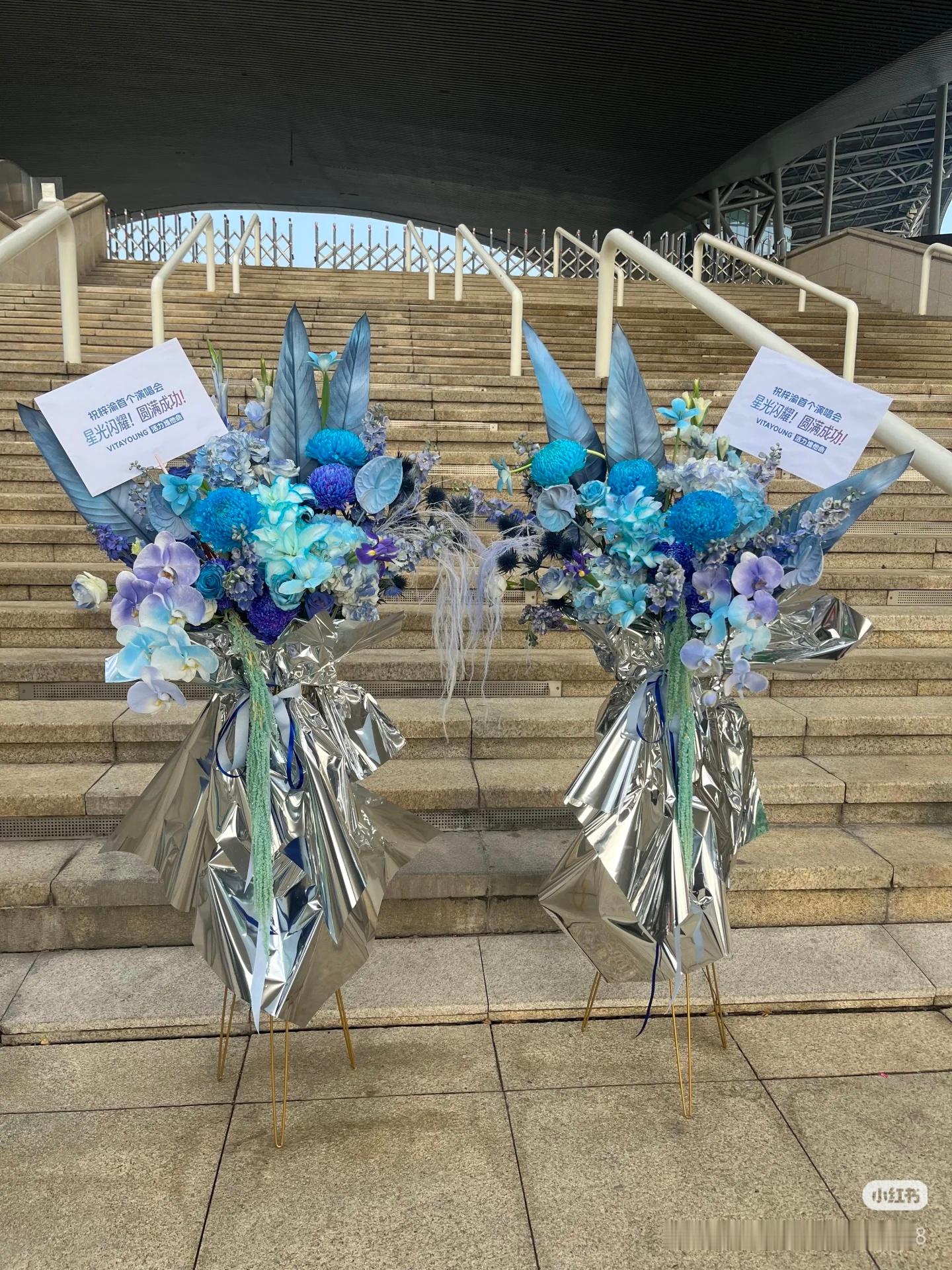 蓝色大象不升T试试呢 